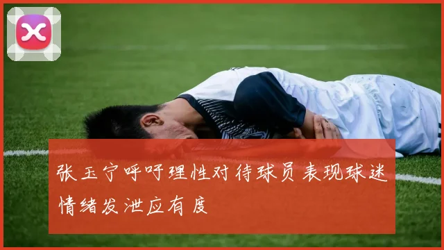 张玉宁呼吁理性对待球员表现球迷情绪发泄应有度