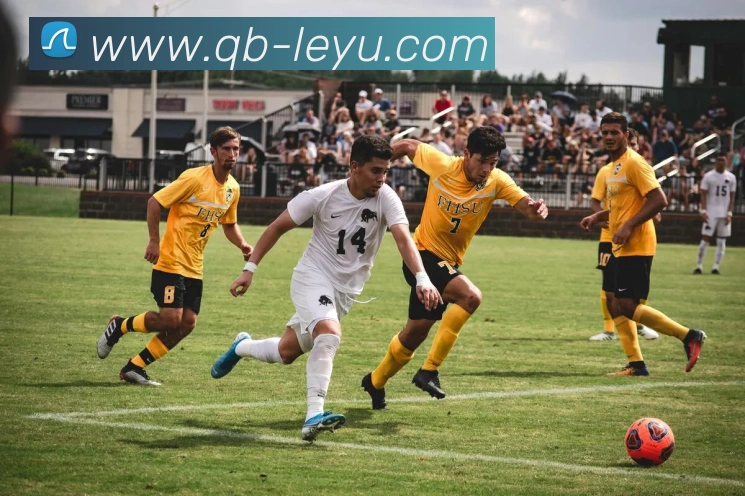 乐鱼体育平台生态图