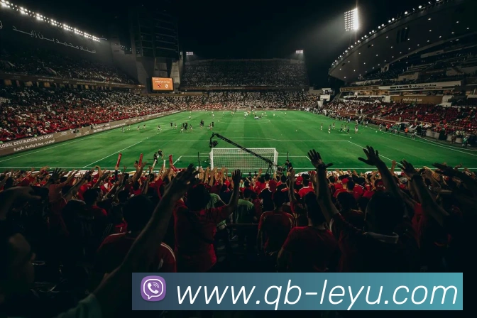 乐鱼体育APP 封面图